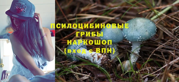 прущая мука Арсеньев