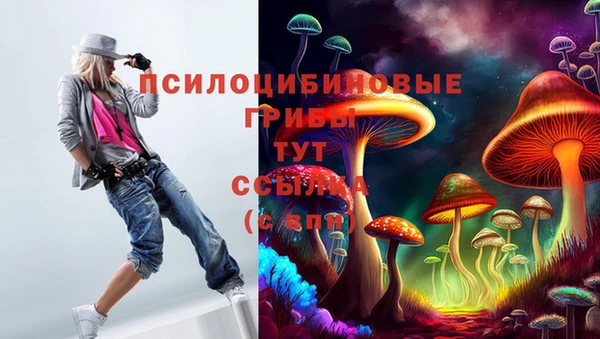 дживик Армянск