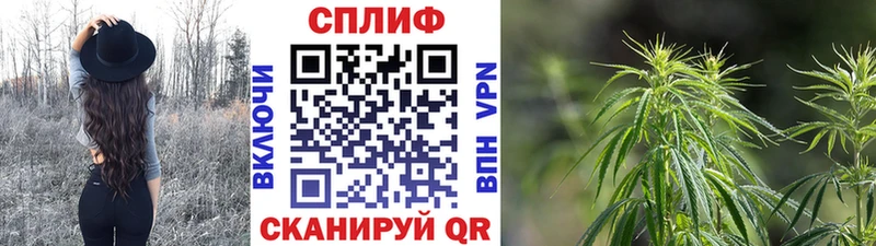 Бошки марихуана Ganja  Талица 